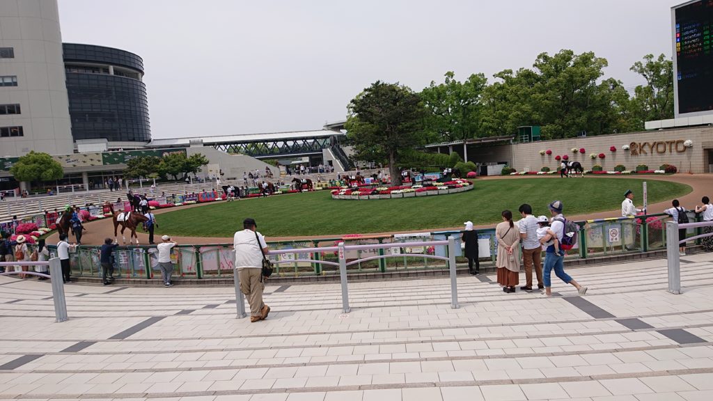 京都の無料の遊び場　京都競馬場